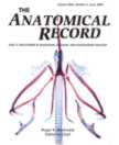 Herrel, A., M. Canbek, Ü. Özelmas, M. Uyanoglu and M. Karakaya (2005) Comparative functional analysis of the hyolingual anatomy in lacertid lizards. Anat. Rec. 284: 561-573.